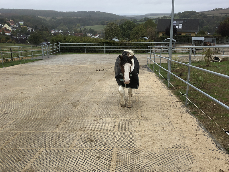 HIT Top Clean Mud Mats Jelka